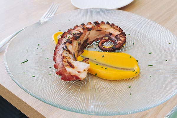pulpo2